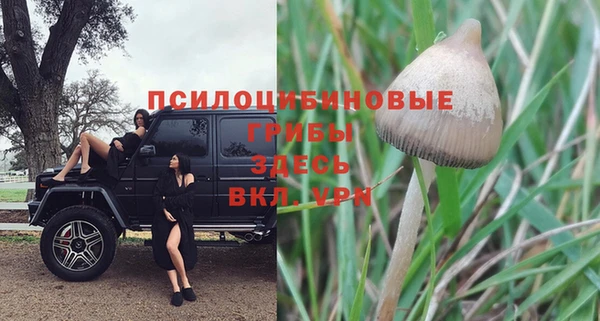 соль ск Алексин