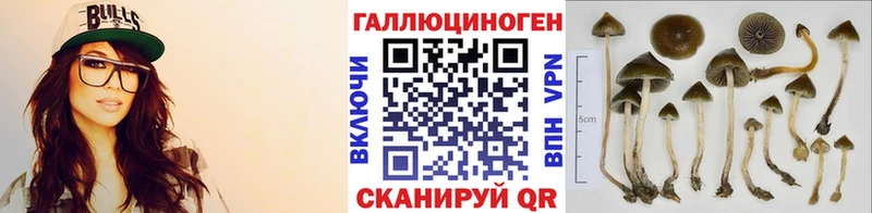 Галлюциногенные грибы Cubensis  Харабали 