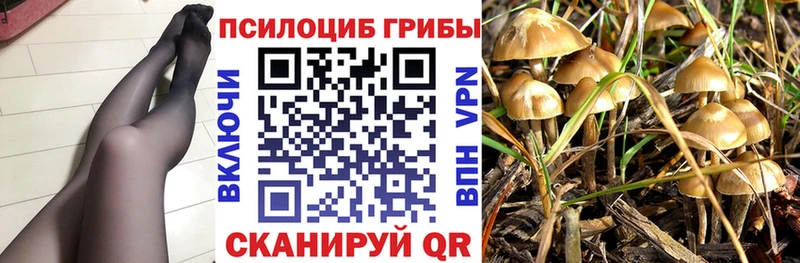 Галлюциногенные грибы мухоморы Харабали